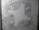 Kasabian Velociraptor deluxe vinyl boxset signed