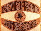 The Bevis Frond Superseeder (Vinyl) 12