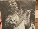 GARY WILSON THIS IS WHY I WEAR MY WEDDING DRESS 1983 Lot