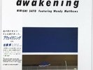 Hiroshi Sato Awakening 1982 LP Clear Blue Vinyl Japan City Pop Discontinued