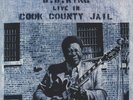 B.B. KING - Live in Cook County Jail (180g Vinyl LP, 2015, Geffen) **NEW**
