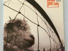 PEARL JAM - VS + INNER - GATEFOLD - 1993 ISSUE - MADE IN HOLLAND - EXCELLENT