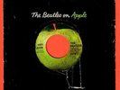 The Beatles US 45 APPLE 2276 HEY JUDE / REVOLUTION  Thumb Tab Sleeve  RARE