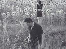Jesu / Sun Kil Moon Jesu / Sun Kil Moon VINYL, CD Rough Trade 2016 NEW
