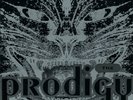 The Prodigy - Charly / Everybody In The Place (12