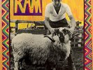 Paul & Linda McCartney - Ram - Apple Records - SMAS-3375 - LP, Album 1048840435