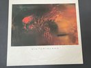 Cocteau Twins - Victorialand - 1986 UK CAD 602 4AD Ultrasonic Cleaned NM