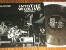 HALESTORM INTO THE WILD LIVE CHICAGO 10