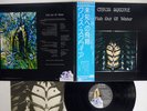 CHRIS SQUIRE FISH OUT OF WATER ATLANTIC P-10068A JAPAN OBI VINYL LP