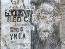 MINOR THREAT ROASTY TOASTY PUNK FLYER SOA GI RED C PUNK
