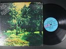 RAY OLAN y Su SASON Sugar on Sunday LATIN LP Alegre