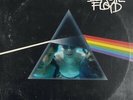 DJ BACON Beastie Floyd LP NEW VINYL  mashups