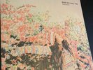 taeyeon - what do i call you - vinyl press- near mint all inclusions included