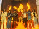 Lynyrd Skynyrd - Street Survivors - Vinyl LP - German Pressing