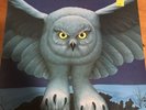 RUSH - FLY BY NIGHT VINYL LP ALBUM