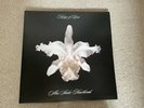 Kings of Leon Aha Shake Heartbreak Vinyl Amazing Condition