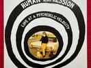 The Human Expression 