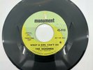 The Hangmen – What A Girl Can't Do / The Girl Who Faded Away 45 Single