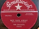 The Crickets RARE 78 rpm NOT FADE AWAY Oh Boy  MONO Brunswick BUDDY HOLLY Look
