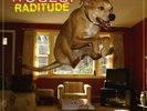 Vinyl LP - Weezer ?– Raditude 180 Gramm