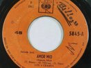 Los 4 Crikets - Barbara Ven,  Garage Surf, Beach Boys Cover, Costa Rica