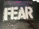 Fear The Record  Slash Records first pressing 1981