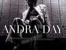 Andra Day - Cheers To The Fall Double LP Vinyl Sealed New Grammy  Billie Holiday