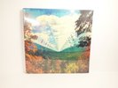 Innerspeaker - 10 Year Anniversary Edition by Tame Impala (Record, 2021)