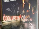 blossoms cool like you signed vinyl sealed