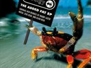 PRODIGY THE ADDED FAT EP 2012 XL RECORDINGS RARE UK IMPORT XLT590