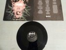 LP Morgoth - The Eternal Fall.Original. first Press 1990.TOP&RAR