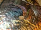 Judas Priest Sad Wings of Destiny picture disc LP album France 1983 never played