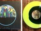 SEALED Post Animal Forward Motion Godyssey Vinyl Ty Segall Thee Oh Sees Foxygen