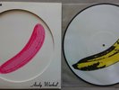 The Velvet Underground & Nico Picture Disc, (Lou Reed) MINT