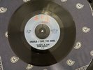 should I Take You Home Sunny And The Sunliners 45