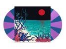 the first glass beach album Purple & Blue Pinwheel Vinyl Limited Edition SEALED