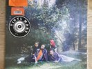 Big Thief - U.F.O.F - Clear Orange Vinyl - used