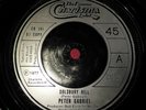 Peter Gabriel - Solsbury hill 7