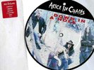 NM/NM ALICE IN CHAINS DOWN IN A HOLE / ROOSTER 7