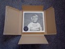 DAVID BOWIE TOY: BOX 6 X 10