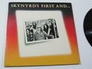 OLD RARE ROCK ROLL MUSIC RECORD ALBUM  LYNYRD SKYNYRD ORIG VINTAGE VINYL LP 1978
