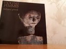 Violent Femmes -  Hallowed Ground, LP signed by band, SLAP1, VG+/VG+, Uk 1984