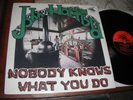 JOHN HARTFORD : NOBODY KNOWS WHAT YOU DO (FLYING FISH 028) - RARITIES