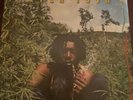 PETER TOSH LEGALIZE IT VINYL LP INTEL DIPLO JAMAICA 1976 RARE ROOTS REGGAE
