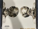 Sleater-Kinney - Path Of Wellness LP Newbury Comics Clear vinyl NEW /600 copies