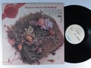 MANFRED MANN'S EARTH BAND The Good Earth BRONZE LP VG+ uk #