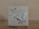 Sufjan Stevens - Seven Swans (Vinyl, 2014, Marble, +7