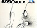 Rapeman - Two Nuns And A Pack Mule LP Big Black - Steve Albini Shellac - RECORD