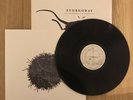 Stornoway - Beachcombers Windowsill Rare Vinyl Record Lp EX/EX 2010