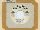HEAR- Rare Northern Soul 45 - Roddie Joy - A Boy Is Just A Toy - Parkway - Promo